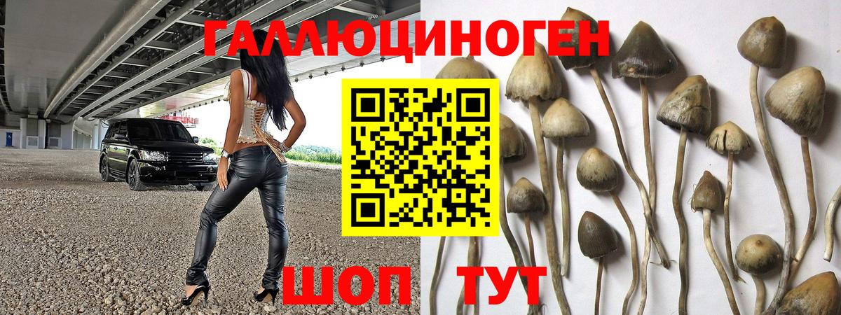 Галлюциногенные грибы Psilocybe  даркнет сайт  Вход с VPN  Бутурлиновка  Галлюциногенные грибы ЛСД 