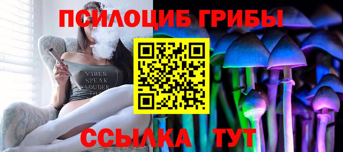 Псилоцибиновые грибы GOLDEN TEACHER Бутурлиновка